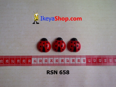 rsn 658  large2